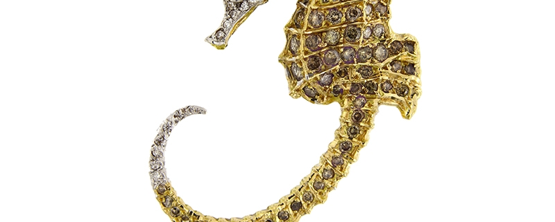 Cavalluccio - Paolo Penko