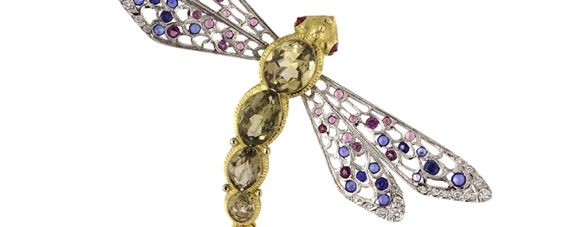 Dragonfly - Paolo Penko