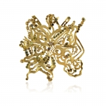 Homage to Maestro Luca Alinari - Paolo Penko