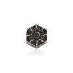 Penkino Star of Knowledge