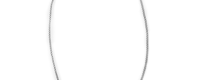 Scopri la catenina in argento 50 cm, un accessorio versatile e sofisticato, ideale per esaltare i tuoi pendenti e completare il tuo stile.
